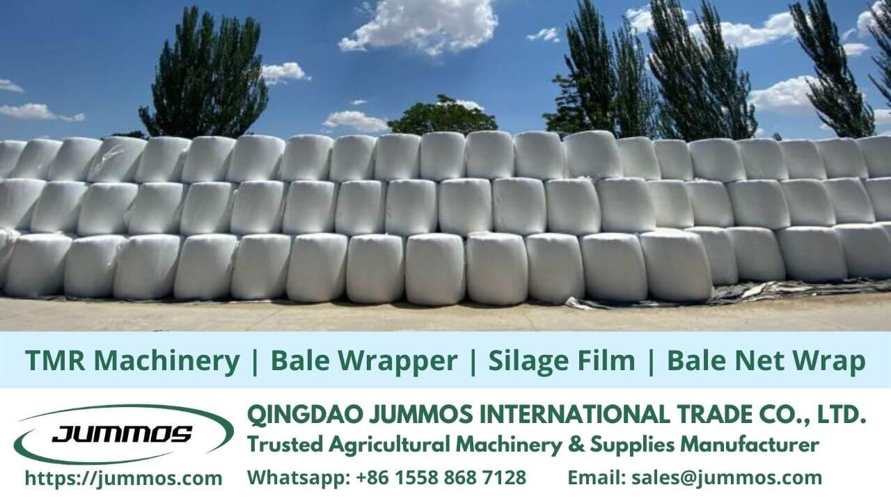 LLDPE Silage Film Production stretch film in China