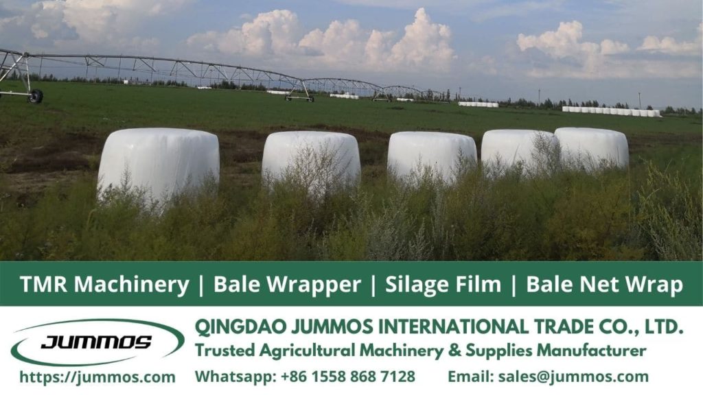 Grass Silage Process To Manage Your Feed