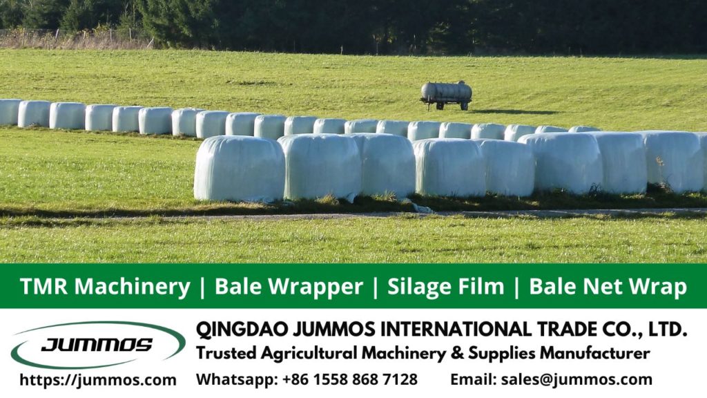 fermented silage bale wrapped for cow feed