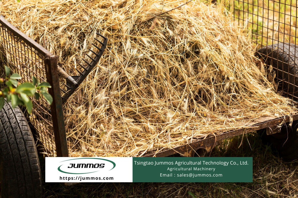 straw animal feed