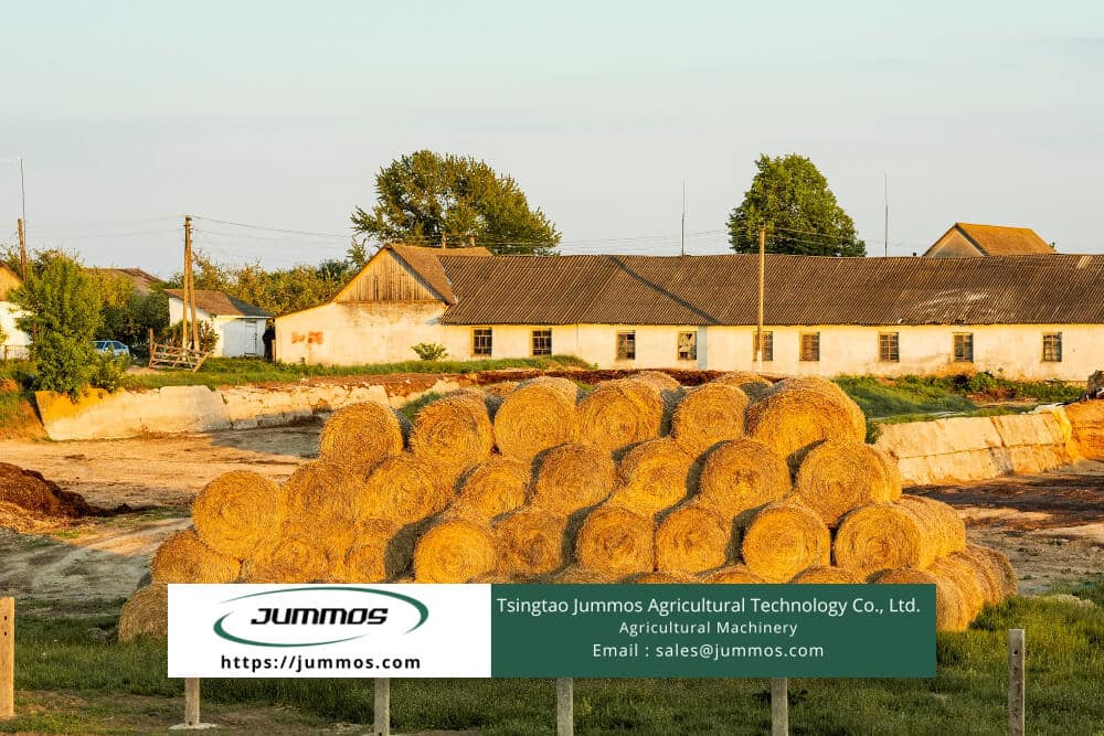 Grass Flowering Plants for Bales