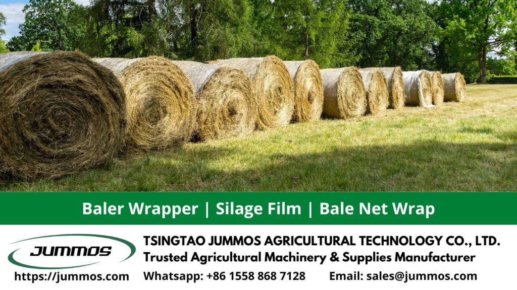 Wheat Straw Bales